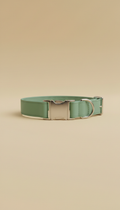 Collar ajustable para perro verde salvia suave